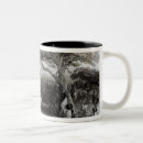 Recherche de rituel tasses Tribal