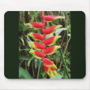 Recherche de griffes tapis souris Pour tous