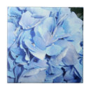 Recherche de hortensias bleus carreaux Fleurs