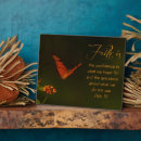 Recherche de papillons plaques Motivation