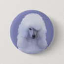Recherche de caniche standard badges Dog