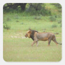 Recherche de panthera autocollants Horizontal