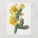 Zoek naar botanische illustratie briefkaarten Floreel