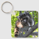 Recherche de ratons laveurs porteclés Arbre