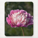 Recherche de grande fleur tapis souris Rose