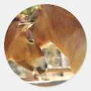 Recherche de beau cheval autocollants Animal