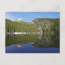 Recherche de bears cartes postales Toute personne