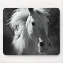 Recherche de chevaux tapis souris Animaux