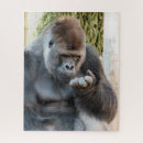 Recherche de gorille puzzles Primates