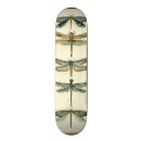 Recherche de insectes skateboards Crème