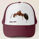 Recherche de fourmis casquettes Faune
