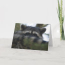 Recherche de bandit cartes postales Masque