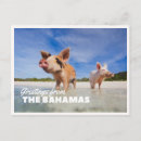 Recherche de souvenir des bahamas cartes postales Vintage