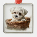 Recherche de petit chien ornements Dog