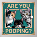 Zoek naar calico kat posters Humor