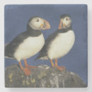 Recherche de atlantique dessous de verres Oiseau