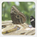 Zoek naar voedsel stickers Voeding