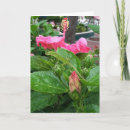 Zoek naar hibiscus kaarten Floral