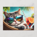 Recherche de vacances chat cartes postales Plage