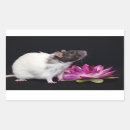 Recherche de rat autocollants Animaux familiers