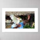 Recherche de cacatoès posters Oiseau