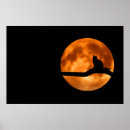 Zoek naar maneschijn posters Kat