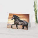 Zoek naar mooi paard kaarten Paarden