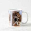 Recherche de images de chiot tasses Moderne