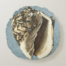 Recherche de conque Coquillage