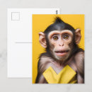 Recherche de singes drôles cartes postales Faune
