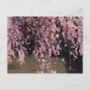 Recherche de préfectures cartes postales Jour