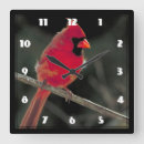 Recherche de arbre rouge horloges Oiseau