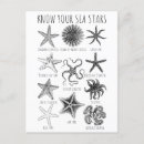 Recherche de vie aquatique cartes postales Littoral