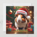 Recherche de porc noël cartes Cobaye