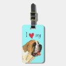 Recherche de saint bernard accessoires Bernhardiner