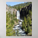 Recherche de tumeur posters Arbres