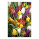 Zoek naar boeket bloemen posters Vers