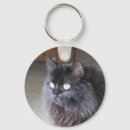 Recherche de chat de ragdoll porteclés Animaux