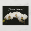 Recherche de orchidée blanche invitations Floral