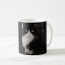 Recherche de minou noir tasses Animaux