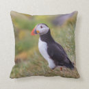 Recherche de macareux coussins Nature