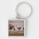 Recherche de grue porteclés Animal