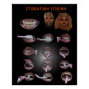 Recherche de soins dentaires posters Brosse à dents
