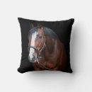 Zoek naar veulen kussens Pony