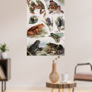 Recherche de zoologie vintage posters Nature