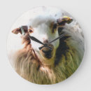 Recherche de moutons mignons horloges Brebis