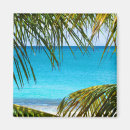 Recherche de plage des caraïbes magnets Palmier