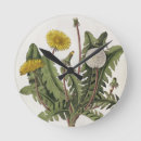 Recherche de gravure horloges Siècle