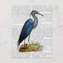 Recherche de heron cartes postales Bleu