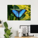 Zoek naar blauwe vlinders kunst Natuur